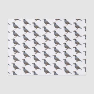 California quail bird cartoon illustration tissue paper