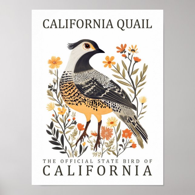 California Quail Bird of California USA Travel Poster (Front)
