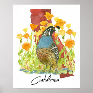 California Quail Bird Poppies State Shape Poster