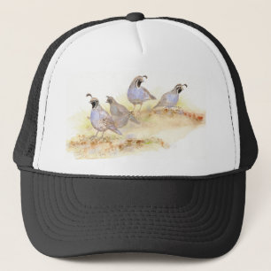 California Quail, Birds, Nature, Wildlife, Trucker Hat