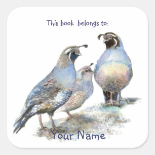 California Quail Birds This book belongs Bookplate Square Sticker