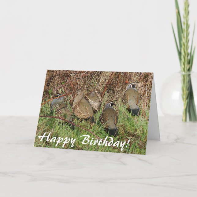 California Quail Birthday Card (Front)