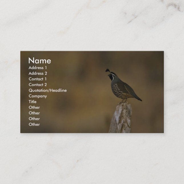 California quail business card (Front)
