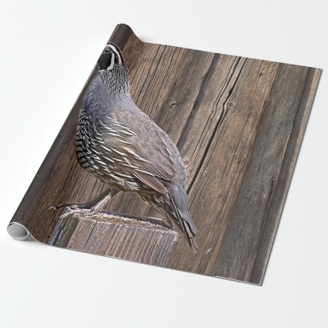 CALIFORNIA QUAIL ON BARNBOARD WRAPPING PAPER (Unrolled)