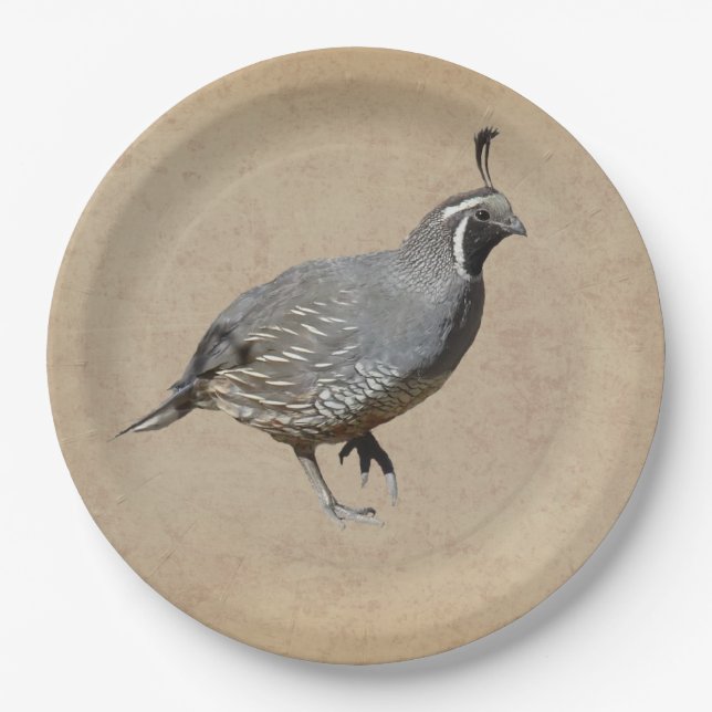 CALIFORNIA QUAIL PAPER PLATE (Front)