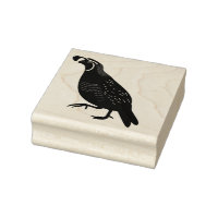 California Quail State Bird Illustration