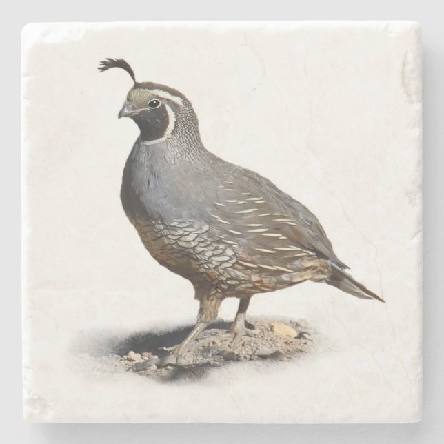 CALIFORNIA QUAIL STONE COASTER (Front)