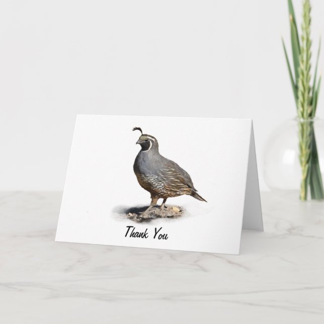CALIFORNIA QUAIL - THANK YOU (Front)