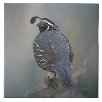 California Quail Tile