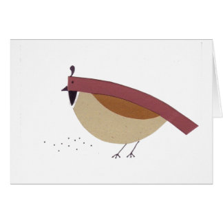 California Quail White
