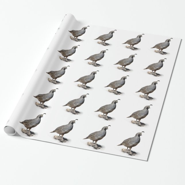 CALIFORNIA QUAIL WRAPPING PAPER (Unrolled)