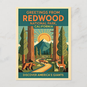 California Redwood National Park Retro 1930s Postcard