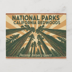 California Redwood National Parks Vintage Travel Postcard