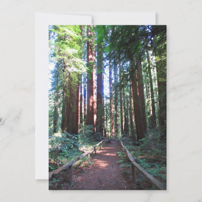 California Redwood Trail Design Save The Date (Front)