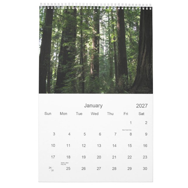 California Redwoods 2012 calendar (Jan 2027)