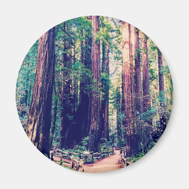 California Redwoods Magnet (Front)