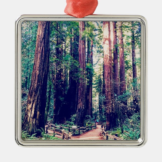 California Redwoods Metal Tree Decoration (Front)