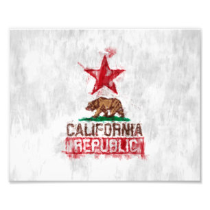 California Republic Flag Bear in Painterly Style Photo Print