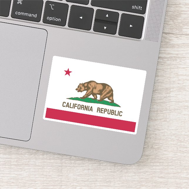 California Republic Grizzly Bear and Star (Detail)