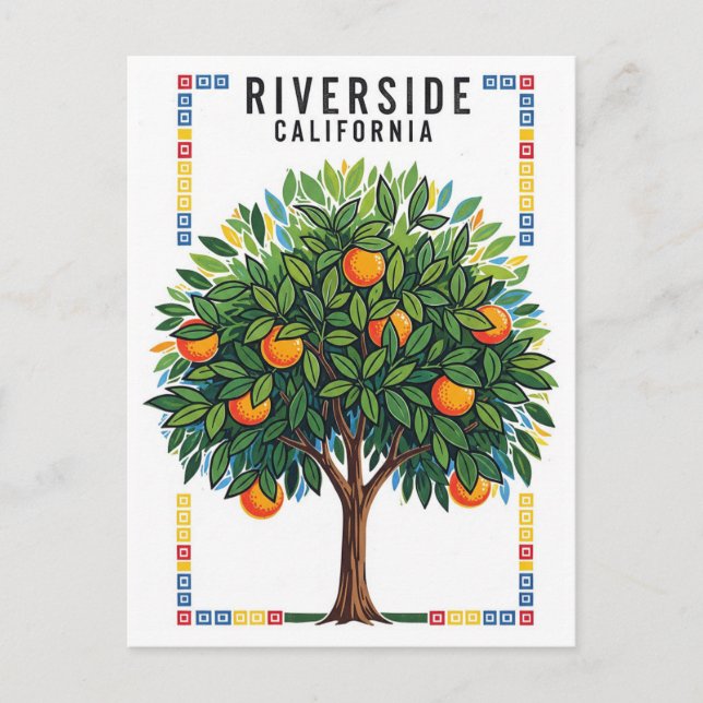 California Riverside Orange Tree Postcard (Front)