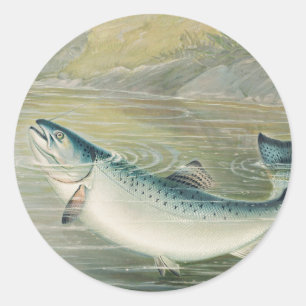 California Salmon by S.A. Kilbourne, Vintage Fish Classic Round Sticker