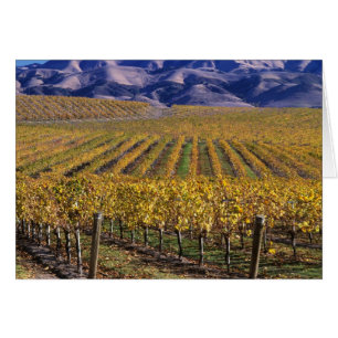 California, San Luis Obispo County, Edna Valley