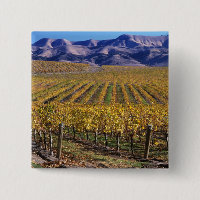 California, San Luis Obispo County, Edna Valley