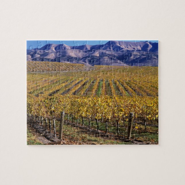 California, San Luis Obispo County, Edna Valley Jigsaw Puzzle (Horizontal)