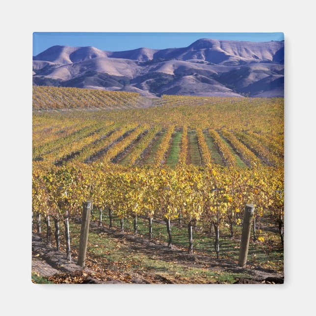 California, San Luis Obispo County, Edna Valley Magnet (Front)