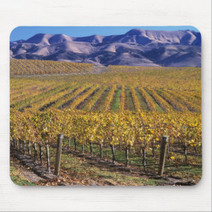 California, San Luis Obispo County, Edna Valley Mouse Mat