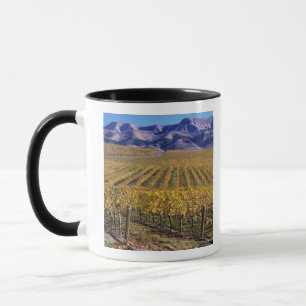 California, San Luis Obispo County, Edna Valley Mug