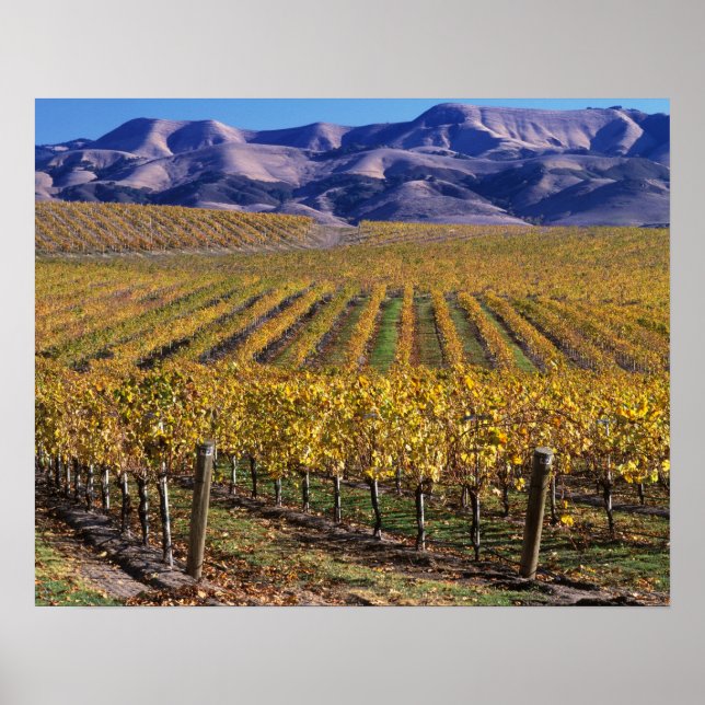 California, San Luis Obispo County, Edna Valley Poster (Front)