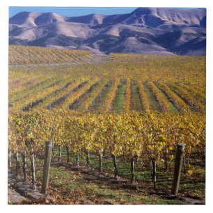 California, San Luis Obispo County, Edna Valley Tile