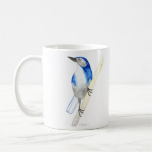 California Scrub Jay Coffee Mug