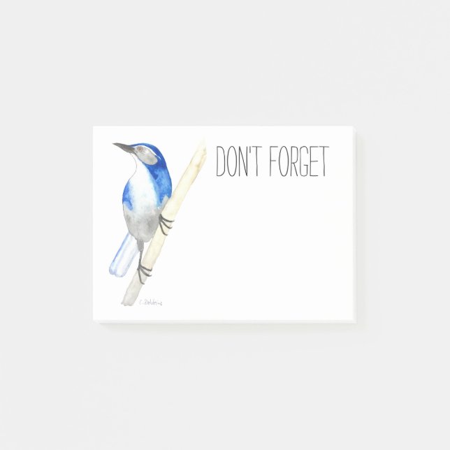 California Scrub Jay Post-it Notes (Front)
