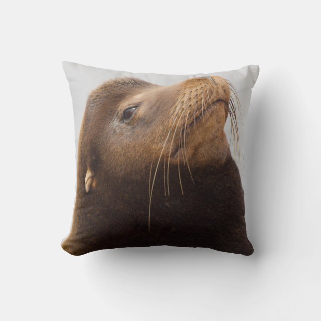 California Sea Lion Cushion (Front)