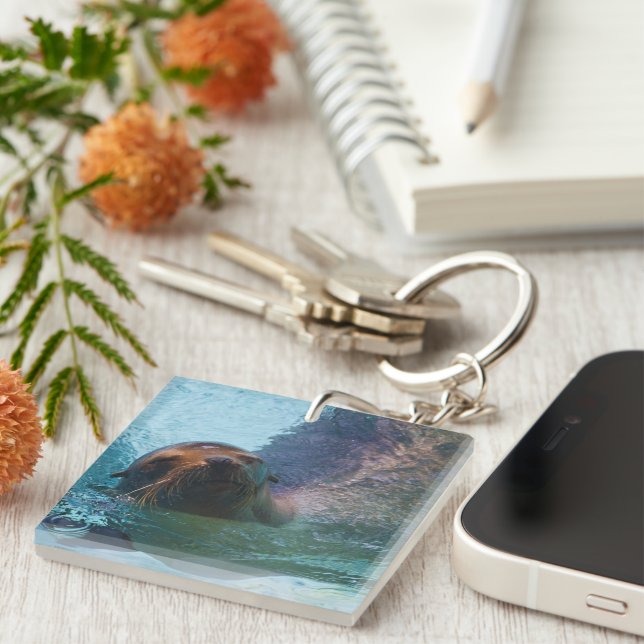 California Sea Lion Key Ring (Front Right)