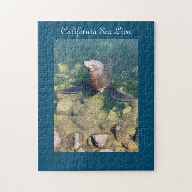 California Sea Lion Puzzle (Vertical)