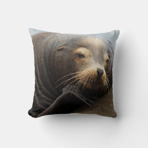 California Sea Lion Resting Cushion