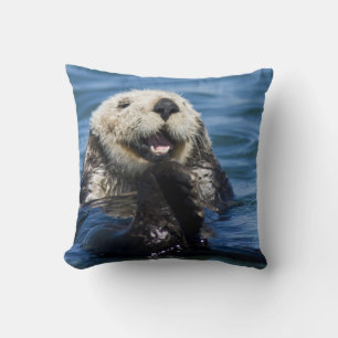 California Sea Otter Enhydra lutris) grooms Cushion