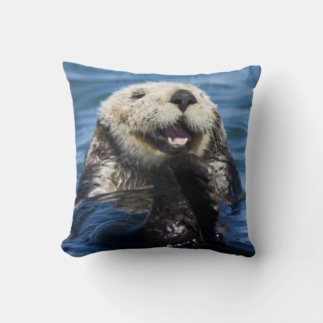 California Sea Otter Enhydra lutris) grooms Cushion (Front)