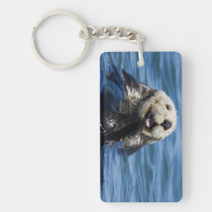 California Sea Otter Enhydra lutris) grooms Key Ring