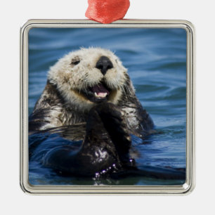 California Sea Otter Enhydra lutris) grooms Metal Tree Decoration