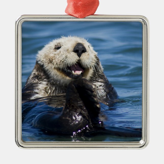 California Sea Otter Enhydra lutris) grooms Metal Tree Decoration (Front)
