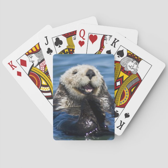 California Sea Otter Enhydra lutris) grooms Playing Cards (Back)