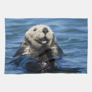 California Sea Otter Enhydra lutris) grooms Tea Towel