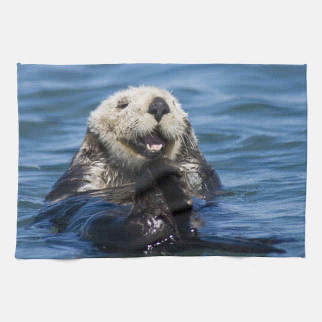 California Sea Otter Enhydra lutris) grooms Tea Towel (Horizontal)
