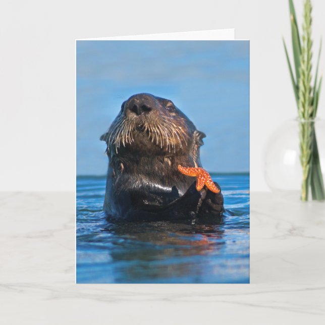 California Sea Otter Holding Starfish Card (Front)