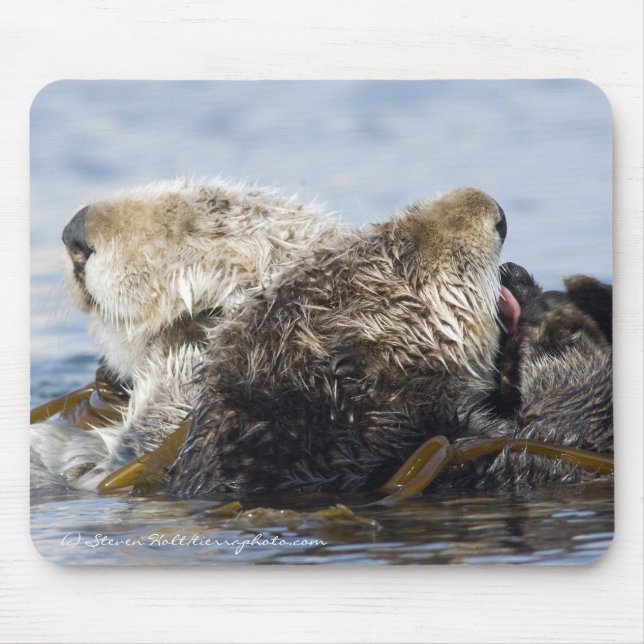 California Sea Otters Mouse Mat (Front)