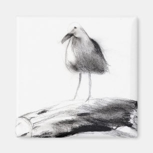 California Seagull 2012 Magnet